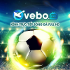 vebozcycc